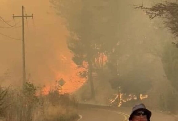 Aplican DN-III-E por incendio forestal en el Estanco Viejo, Temascaltepec