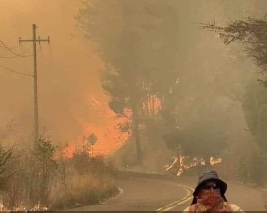 Aplican DN-III-E por incendio forestal en el Estanco Viejo, Temascaltepec