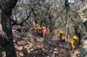 Realizan trabajos de contención y liquidación de incendios en el parque estatal sierra de Guadalupe
