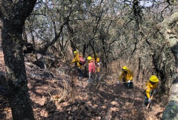 Realizan trabajos de contención y liquidación de incendios en el parque estatal sierra de Guadalupe