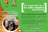 Invita Toluca al taller de Tenencia Responsable de Mascotas