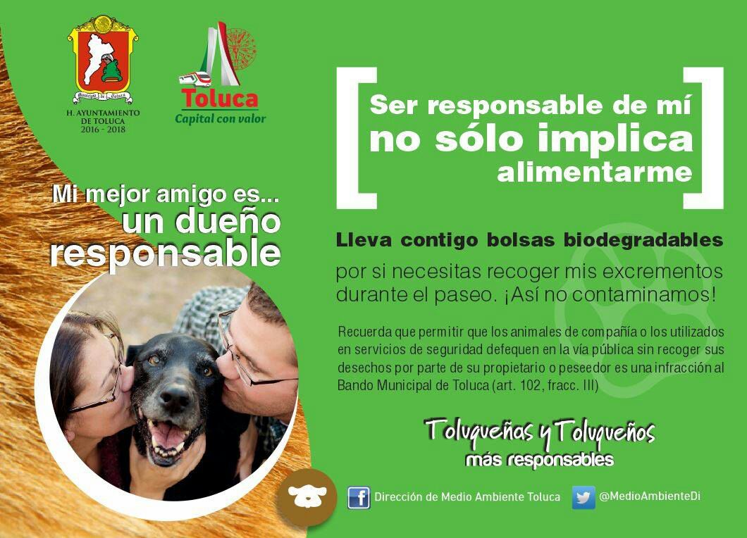 Invita Toluca al taller de Tenencia Responsable de Mascotas