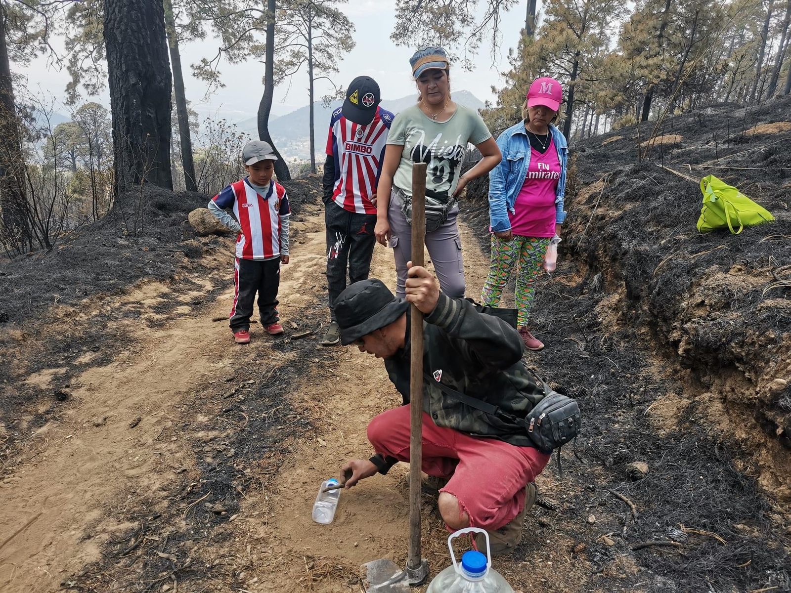 Brigadas voluntarias en Bosques de Xóchicuautla ofrece comida y agua a animales afectados por incendios.