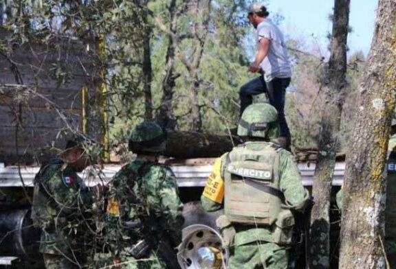Talamontes amagan a policías municipales tras intentar detener camión con madera.