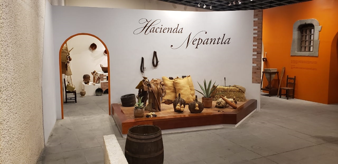 Tiene Tepetlixpa una amplia tradición gastronómica en cecina