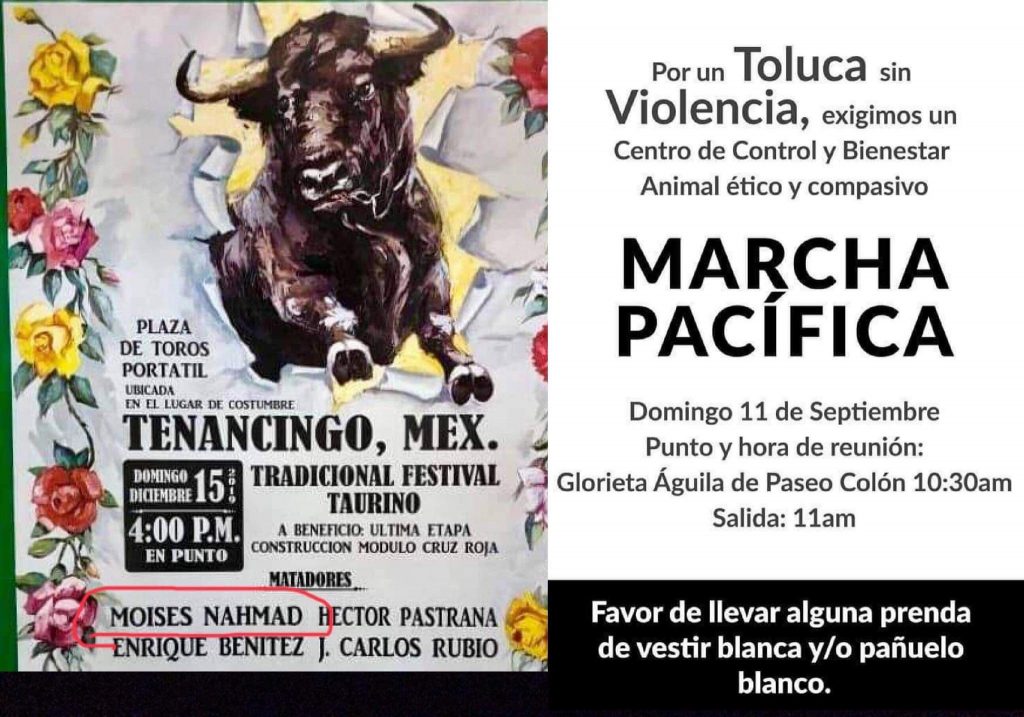 Animalistas de Toluca alistan protesta por la designación de torero en el Centro de Control Animal