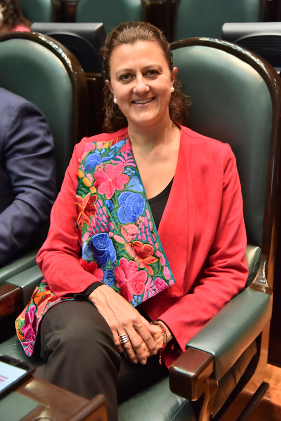 Mónica Álvarez, presidenta de la comisión especial para las declaratorias de alerta de género