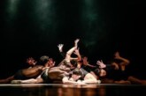 Compañía de Danza del Estado de México presenta “Pulsos Migrantes”