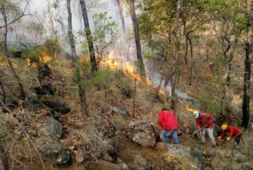 Controlan incendio forestal en Valle de Bravo