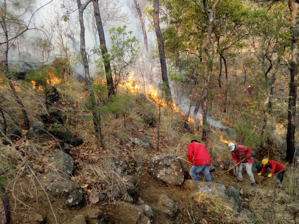 Controlan incendio forestal en Valle de Bravo