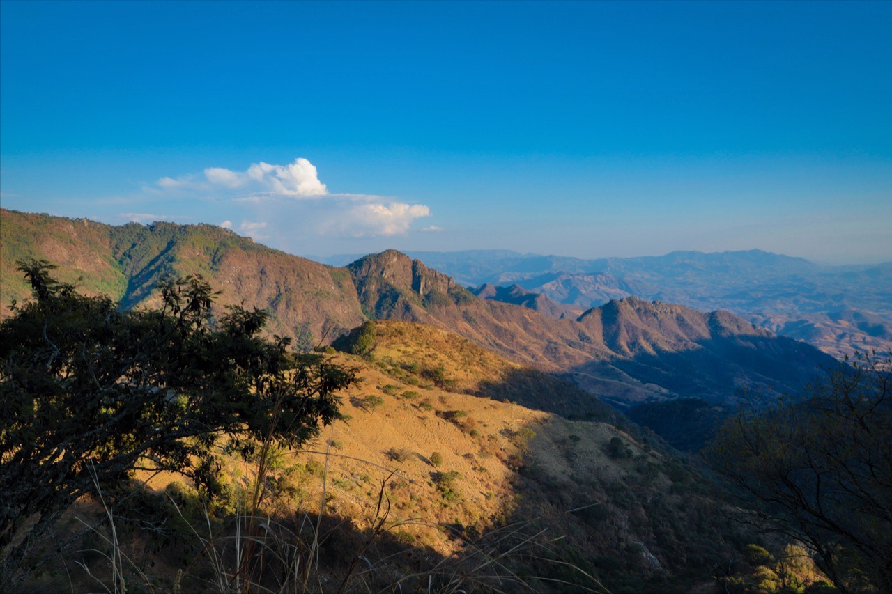 Retoman parques, áreas naturales protegidas y zoológicos actividades al 70 por ciento de aforo