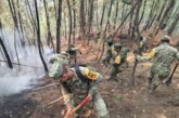 Reportan un avance de 80% de control de los incendios forestales en Luvianos y Tejupilco