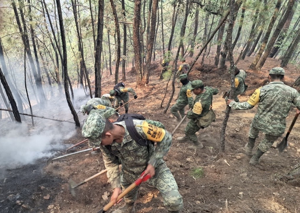 Reportan un avance de 80% de control de los incendios forestales en Luvianos y Tejupilco