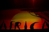 Ofrece Eclipse Show un viaje por el mundo a través de las sombras en el Festival de las Almas