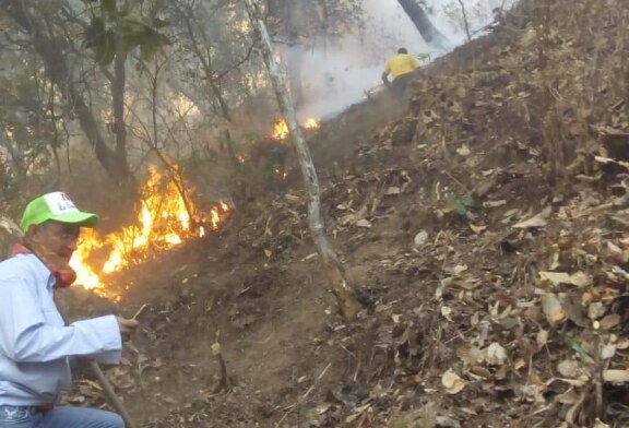 Trabaja Probosque en control de incendio forestal en Teopazul, Tlatlaya
