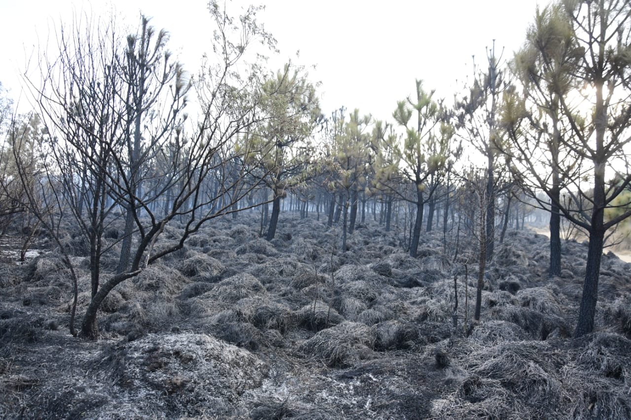 Combaten incendio en ejidos de Tlacotepec