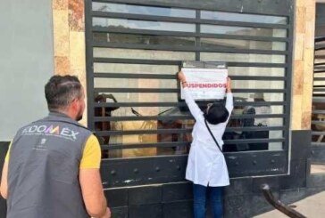 Coprisem suspende operación de clínicas clandestinas en Valle de Bravo