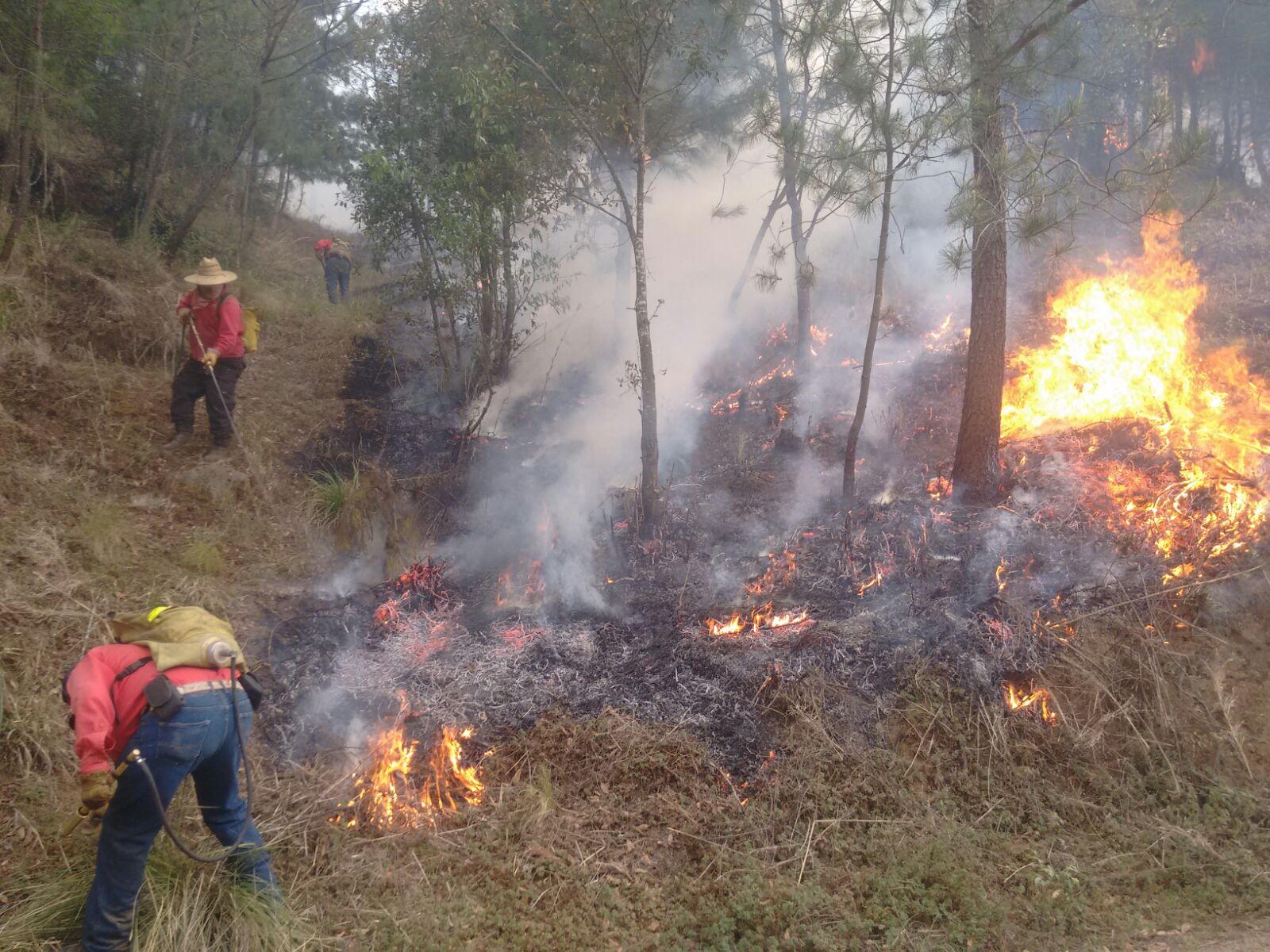 Enfrentan voluntarios incendio en Texcoco