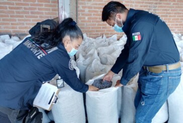 Catea FGJEM inmueble en Chimalhuacán donde fueron hallados vehículos y mercancía robada