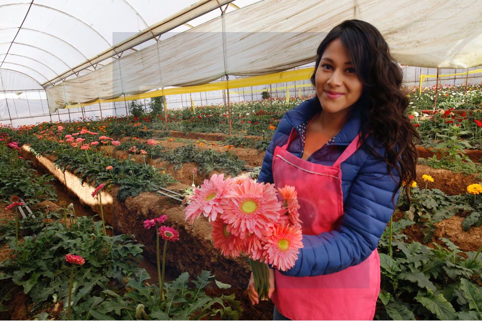 Prepárese porque viene una escalada más en precios, las flores del 14 andarán “cariñosas”