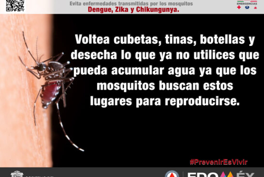 Emite protección civil Edoméx, recomendaciones para evitar enfermedades transmitidas por mosquitos en época de lluvias
