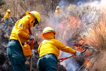 Sofocan 74 incendios forestales en Edoméx tan solo en enero.