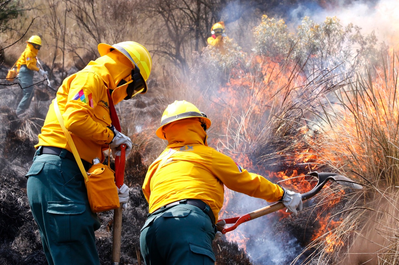 Sofocan 74 incendios forestales en Edoméx tan solo en enero.