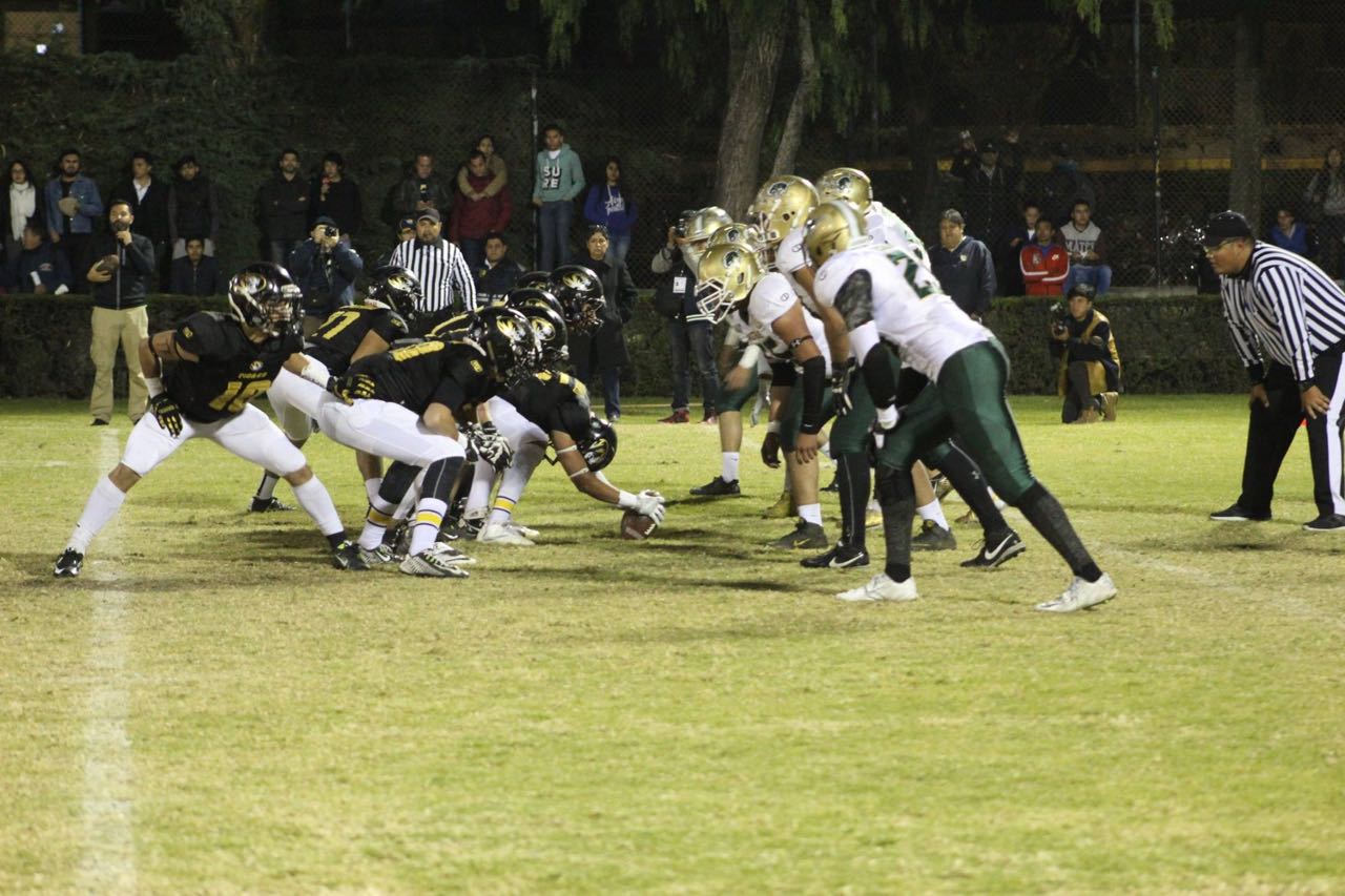 Potros salvajes cae 17-7 en final juvenil oro