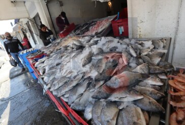 Listos comerciantes para la venta de pescado en Semana Santa