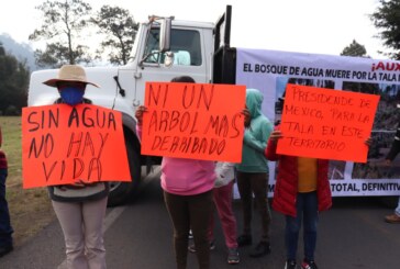 Comuneros de Ocuilan exigen frenar la tala clandestina. Bloquean carretera