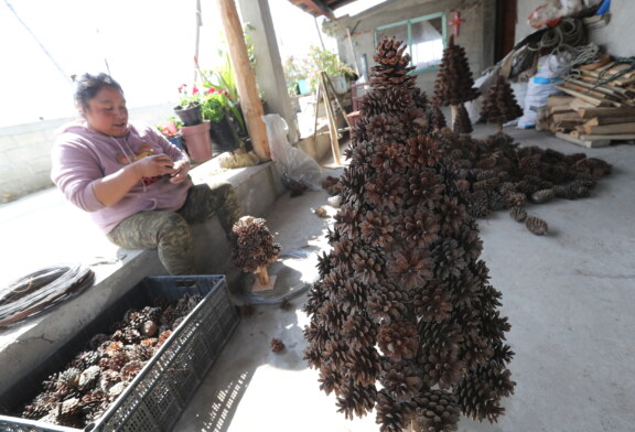 Artesanos de Xonacatlán alistan árboles de Piña de pino