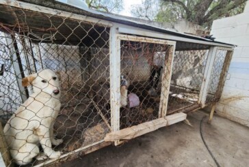 Clausura Procuraduria ambiental centro canino en Zumpango