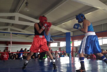 Inicia en Toluca el Segundo Torneo Municipal de Boxeo “Guantes con Valor”