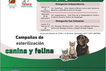 Continúa campaña de esterilización en delegaciones, barrios y colonias de Toluca