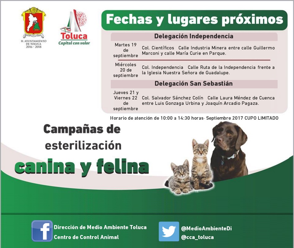 Continúa campaña de esterilización en delegaciones, barrios y colonias de Toluca