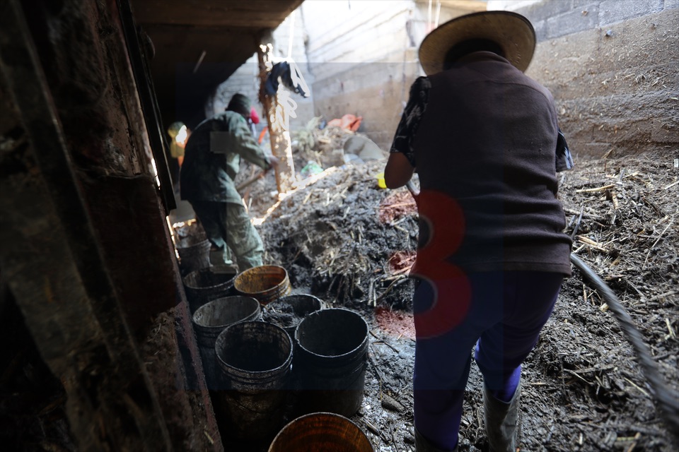 Lluvias deja daños en al menos 30 viviendas de Mexicaltzingo