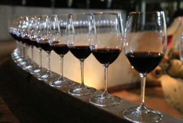 Galardonan vinos Bajacalifornianos en el concurso mundial de Bruselas