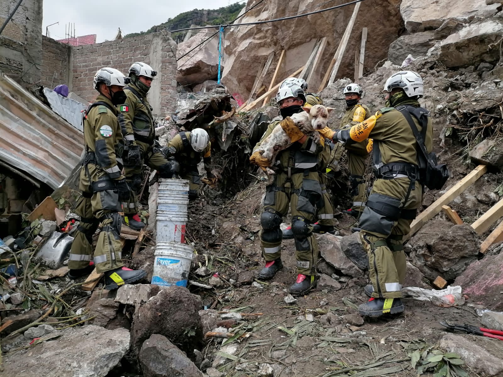 Rescatan a perrita de entre los escombros tras el derrumbe del cerro el Chiquihuite