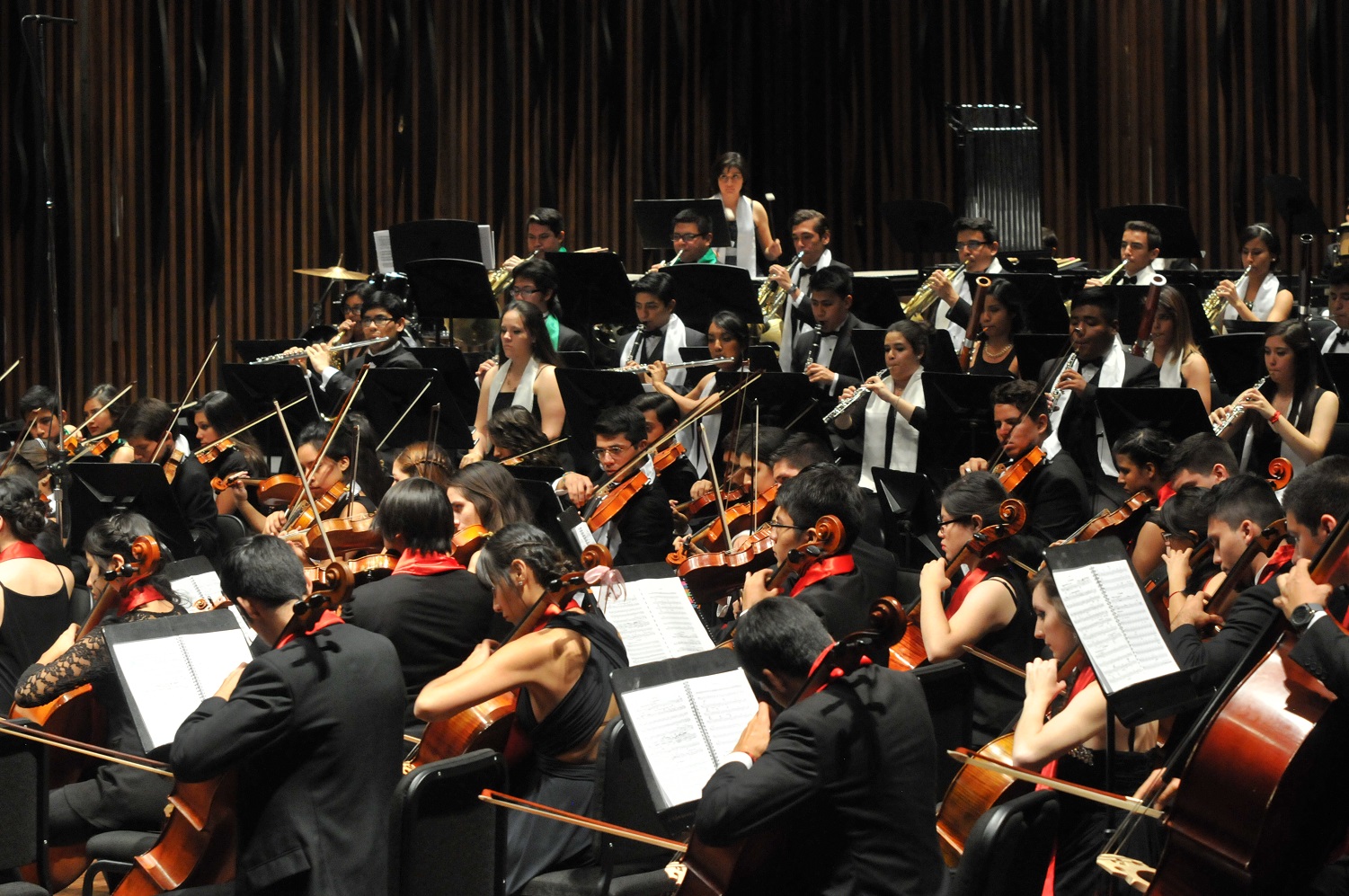 CCMB recibirá a la Orquesta Sinfónica Infantil de México