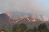 Suman más de 36 horas activo un incendio al sur del Edomex, más de 500 hectáreas afectadas