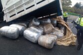 Vuelca camión en la México-Toluca con medio tonelada de marihuana, chofer alcanzó a huir.