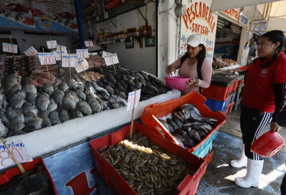 Viernes de Cuaresma en Zinacantepec, aumenta la venta de pescados y mariscos.