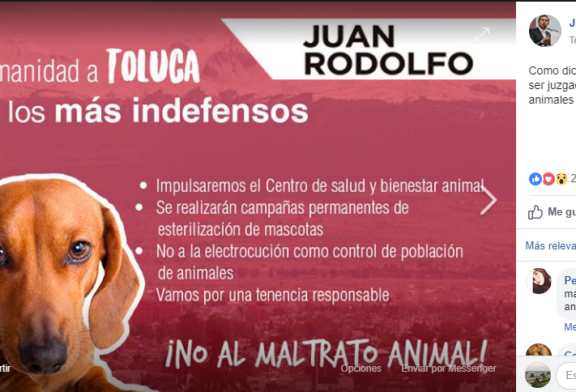 Le recuerdan a Juan Rodolfo que prometió en campaña cuidar a los animales