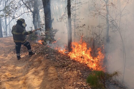 Nuevo incendio en Edomex, comunidades de Zacualpan llevan 48 horas combatiendo el fuego.