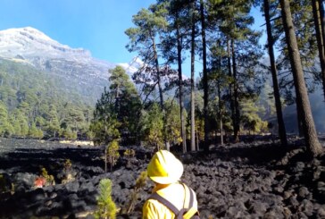 Avanzan 90 por ciento trabajos para concluir con el incendio forestal en región Izta-Popo