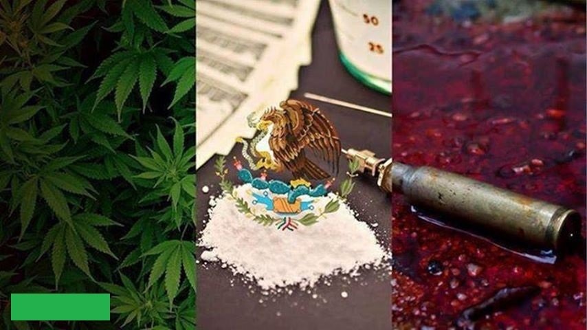 El narcotráfico, imagen de impunidad y brutalidad que exhibe a México en el mundo; Violencia y terrorismo que atentan con el Estado de Derecho