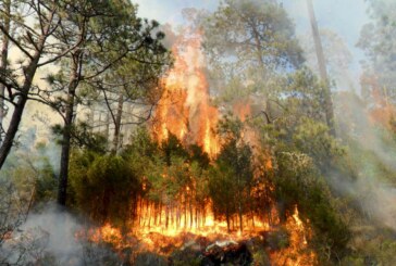 Atienden 150 incendios forestales durante periodo vacacional de semana santa 2021