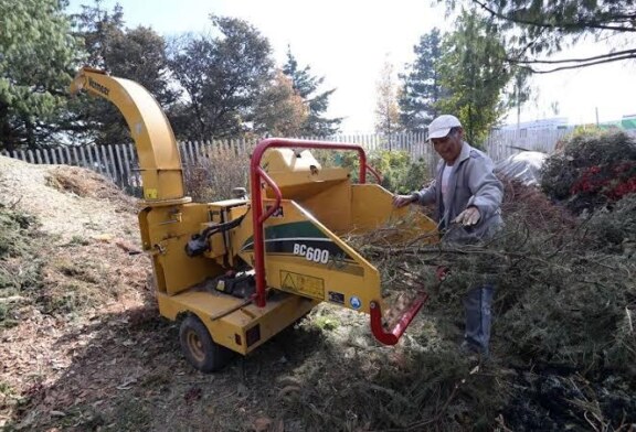 En Metepec ponen en operación centros de acopio de árboles de navidad