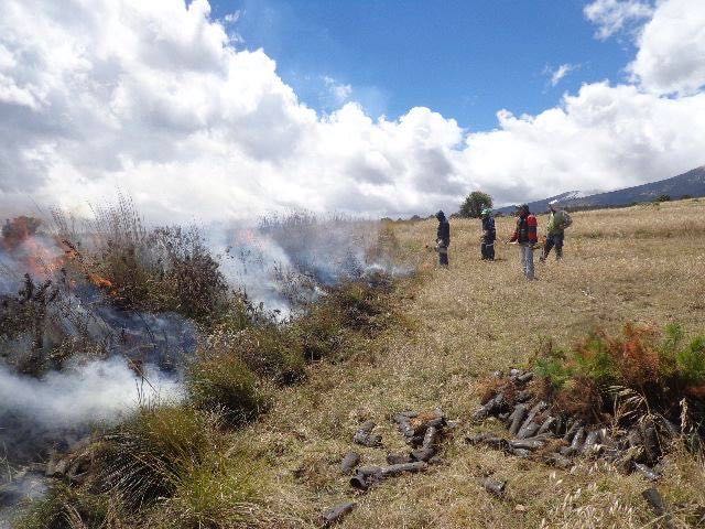 En alerta brigada forestal y contra incendios de Toluca