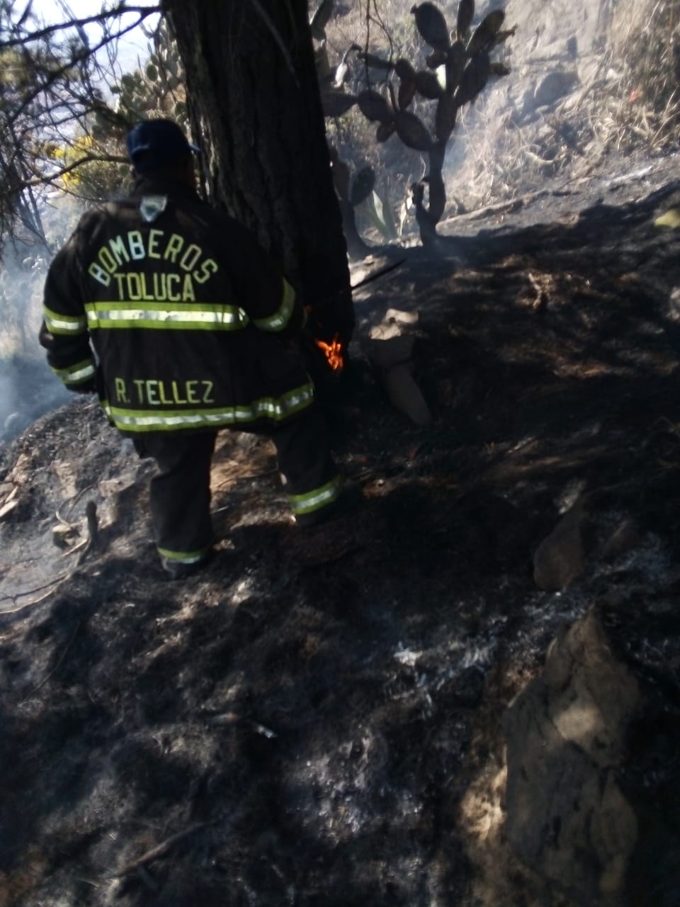 Sofocan Bomberos Toluca 34 incendios de pastizales